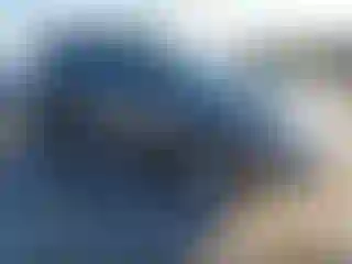 Vehicle Image- 2014 Nissan Murano