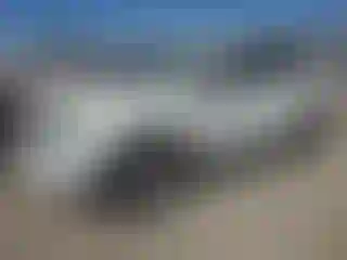 Vehicle Image- 2010 Nissan Murano