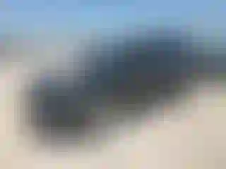 Vehicle Image- 2023 Infiniti QX80