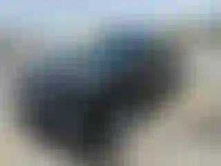 Vehicle Image- 2023 Infiniti QX80