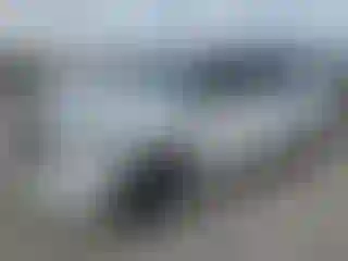 Vehicle Image- 2022 Infiniti QX80