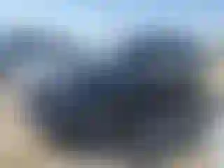 Vehicle Image- 2020 Infiniti QX80