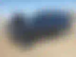 Vehicle Image- 2019 Infiniti QX80