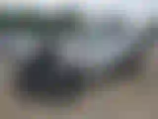 Vehicle Image- 2024 Nissan Rogue