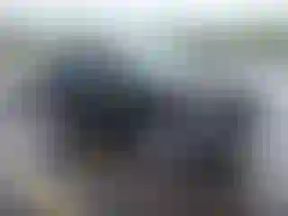Vehicle Image- 2023 Nissan Rogue