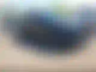 Vehicle Image- 2024 Nissan Rogue