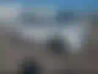 Vehicle Image- 2025 Nissan Rogue