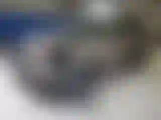 Vehicle Image- 2024 Nissan Rogue