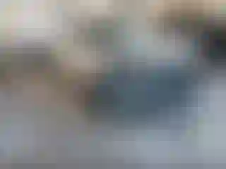 Vehicle Image- 2023 Nissan Rogue