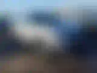 Vehicle Image- 2024 Nissan Rogue