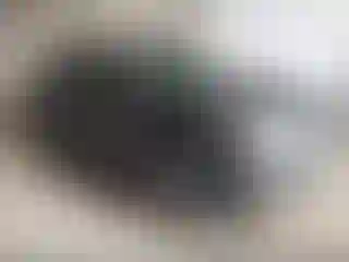 Vehicle Image- 2023 Nissan Rogue