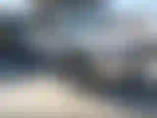 Vehicle Image- 2023 Nissan Rogue