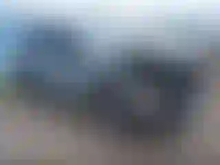 Vehicle Image- 2023 Nissan Rogue