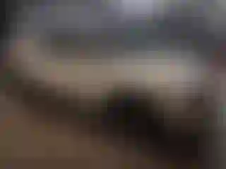 Vehicle Image- 2023 Nissan Rogue
