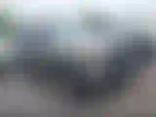 Vehicle Image- 2001 Nissan Pathfinder