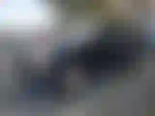 Vehicle Image- 2004 Nissan Pathfinder