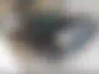 Vehicle Image- 2004 Nissan Pathfinder