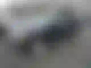 Vehicle Image- 2004 Nissan Pathfinder