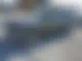Vehicle Image- 2004 Nissan Pathfinder
