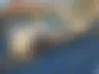 Vehicle Image- 2008 Infiniti G35