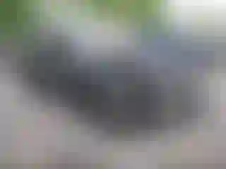 IMPORTOWO.pl