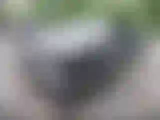 IMPORTOWO.pl