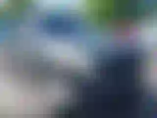 Vehicle Image- 2004 Infiniti FX35
