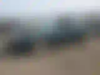 Vehicle Image- 1998 Toyota Camry