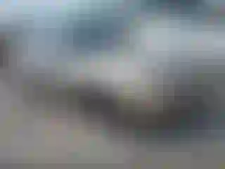 Vehicle Image- 1996 Toyota Camry