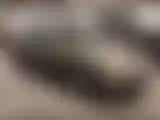 Vehicle Image- 2000 Toyota Camry