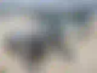Vehicle Image- 2000 Toyota Camry