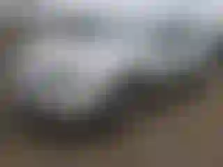 Vehicle Image- 2000 Toyota Camry