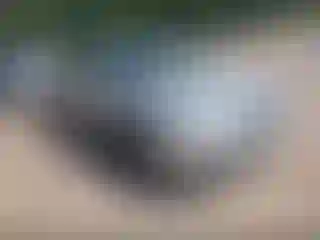 Vehicle Image- 2000 Toyota Camry