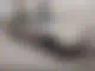 Vehicle Image- 1997 Toyota Camry