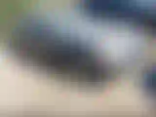 Vehicle Image- 2000 Toyota Camry