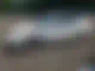 Vehicle Image- 1998 Toyota Camry