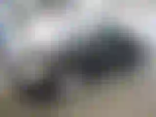 Vehicle Image- 1998 Toyota Camry