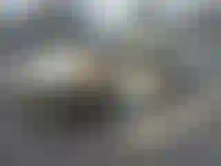 Vehicle Image- 2000 Toyota Camry