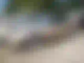 Vehicle Image- 2000 Toyota Camry