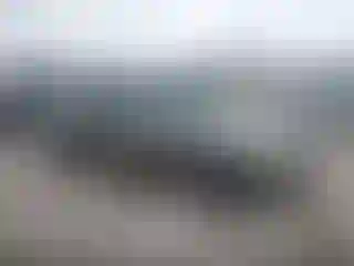 Vehicle Image- 2000 Toyota Camry