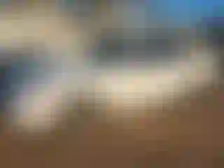 Vehicle Image- 2001 Toyota Camry