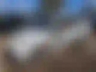 Vehicle Image- 2002 Toyota Prius