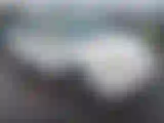 Vehicle Image- 2003 Toyota Prius