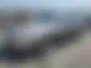 Vehicle Image- 1995 Toyota Camry