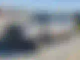 Vehicle Image- 1995 Toyota Camry