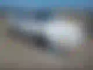 Vehicle Image- 1994 Toyota Camry