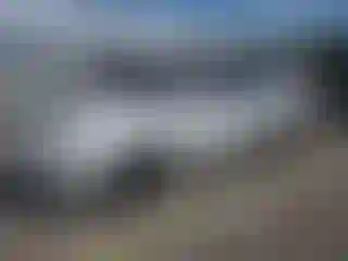 Vehicle Image- 1989 Toyota Camry