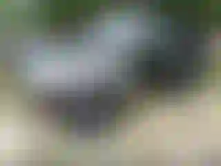 IMPORTOWO.pl