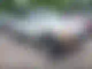 IMPORTOWO.pl