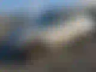 Vehicle Image- 1998 Toyota 4 Runner